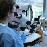 Fecal Exam Plan: 7 Proven Ways to Avoid Costly Pet Health Mistakes