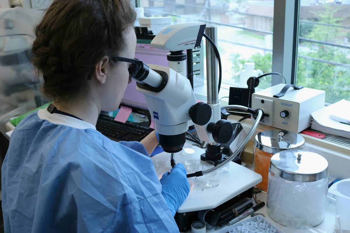 Fecal Exam Plan: 7 Proven Ways to Avoid Costly Pet Health Mistakes